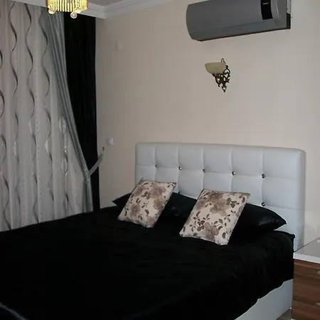 فيلة Angora *